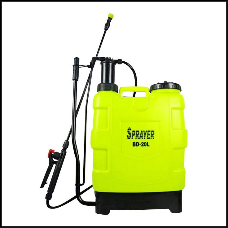 Pest Control - Image 7