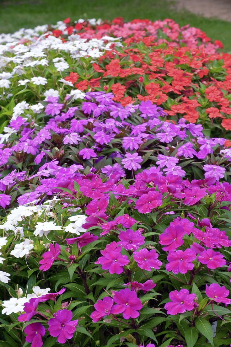 Artificial Flowering Plants - Image 6