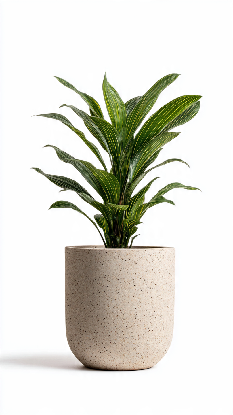 Potted Live Plants - Image 7