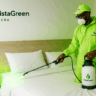 The Ultimate Bed Bug Killer Guide