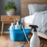 Bed Bugs Beware: Effective Bed Bug Insecticides in Ghana