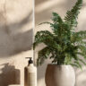 premium hygiene solutions for your home