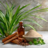 Nature's Shield: 5 Natural Repellents for a Safe, Pest-Free Home