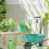 Bring Nature Indoors, Effortlessly