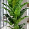 Low-Maintenance Faux Plants: Effortlessly Fresh Greenery