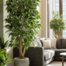 Premium Artificial Plant Décor Elevates Homes