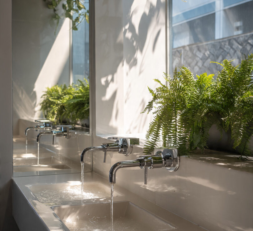 Premium Hygiene Solutions Using Water