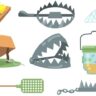 Animal trap