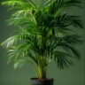 Low-Maintenance Artificial Plants