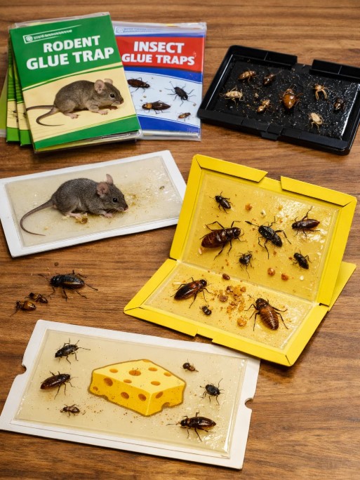 Invisible Glue Board Protection