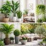 Artificial Plants in Ghana