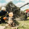 Tree Cutting and Trimming Cost