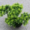 Artificial Plants