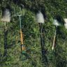 40 Gardening Tools List with Pictures and Their Uses