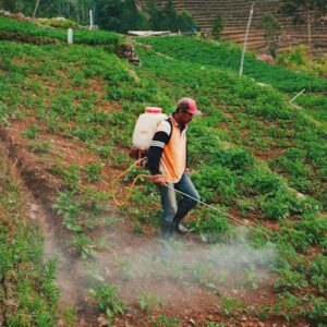 Agricultural Solutions