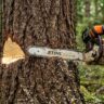 Professional Tree Felling