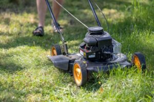Lawn Mowers