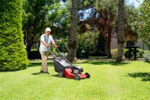 Lawn Mowers
