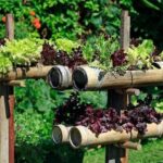 NFT Hydroponic System