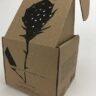 Biodegradable Packaging Examples